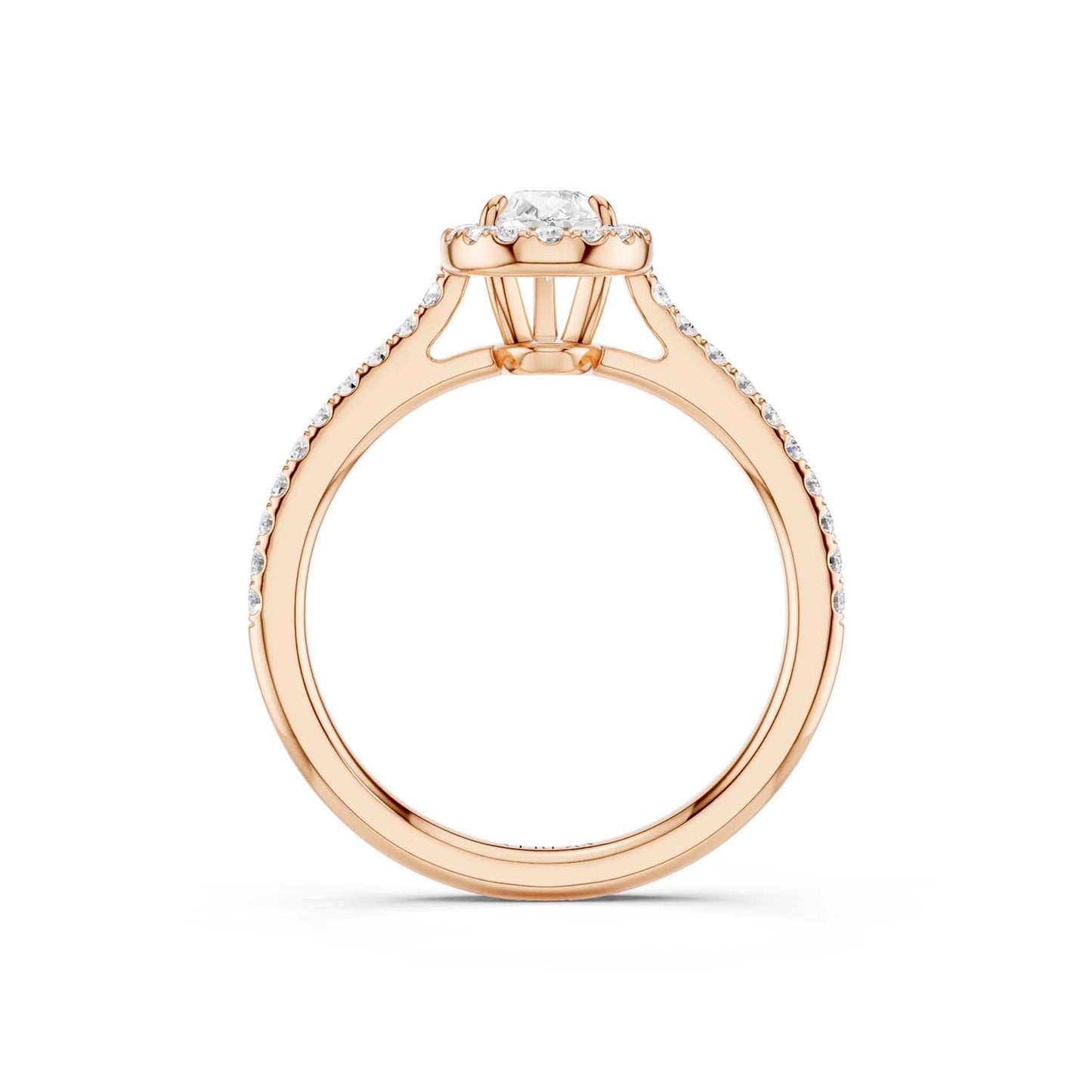 Dewdrop Signature Halo Ring
