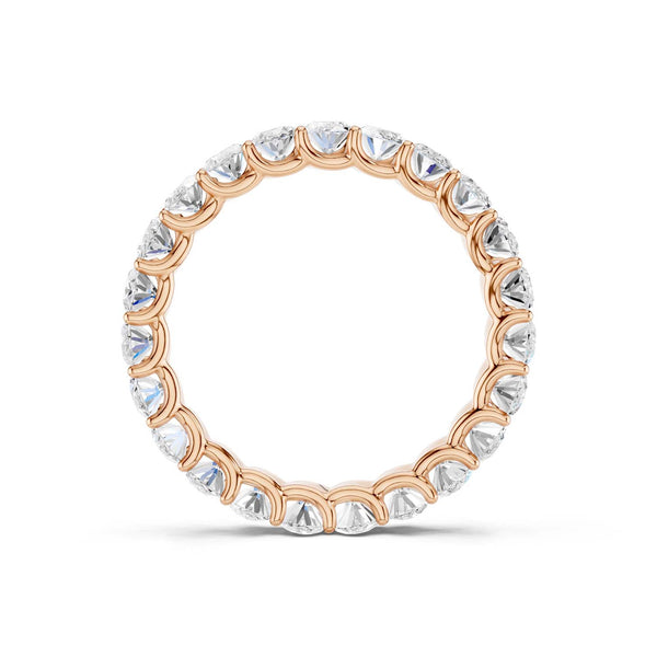 Eternal Ellipse Band
