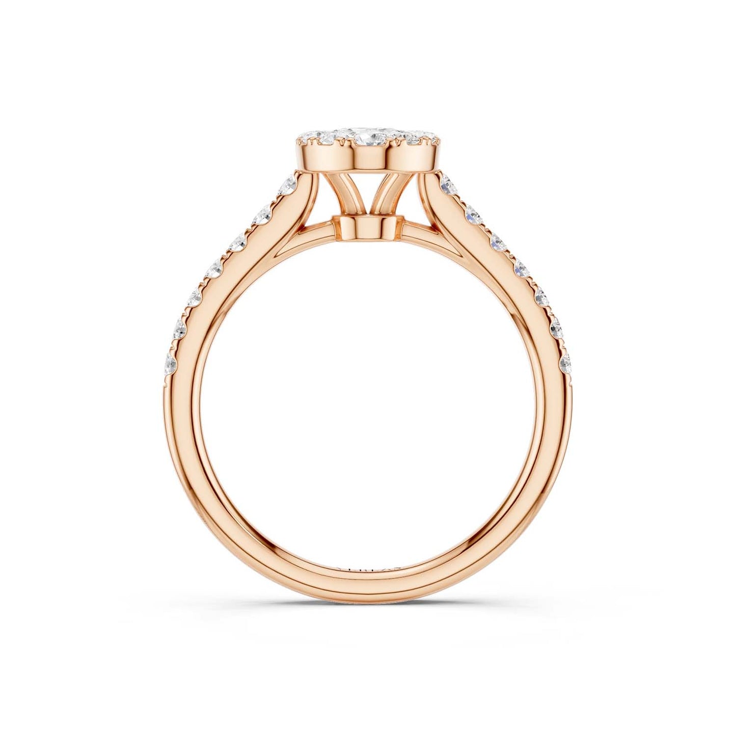Signature Iconic Ellipse Halo Ring