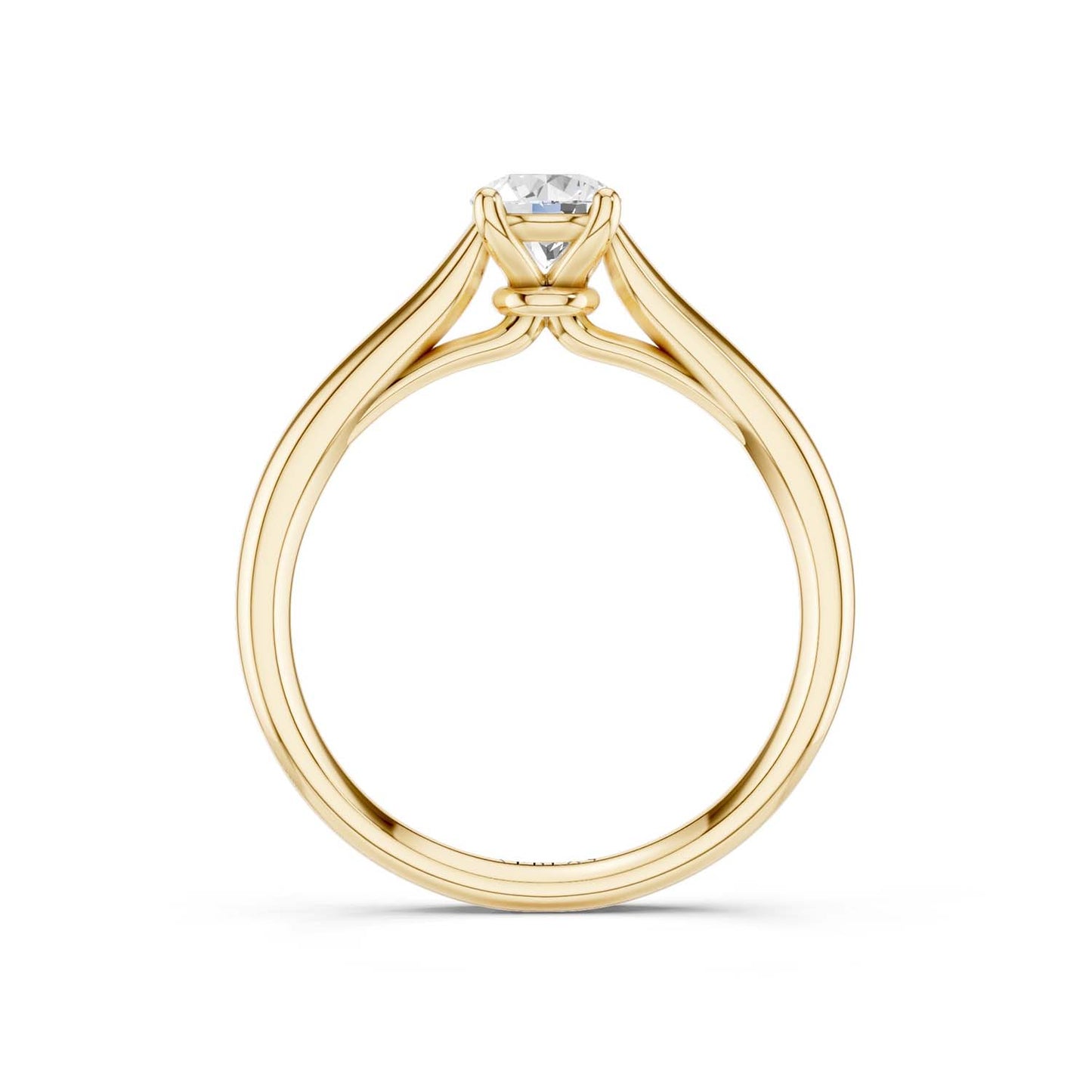 Iconic Round Ring