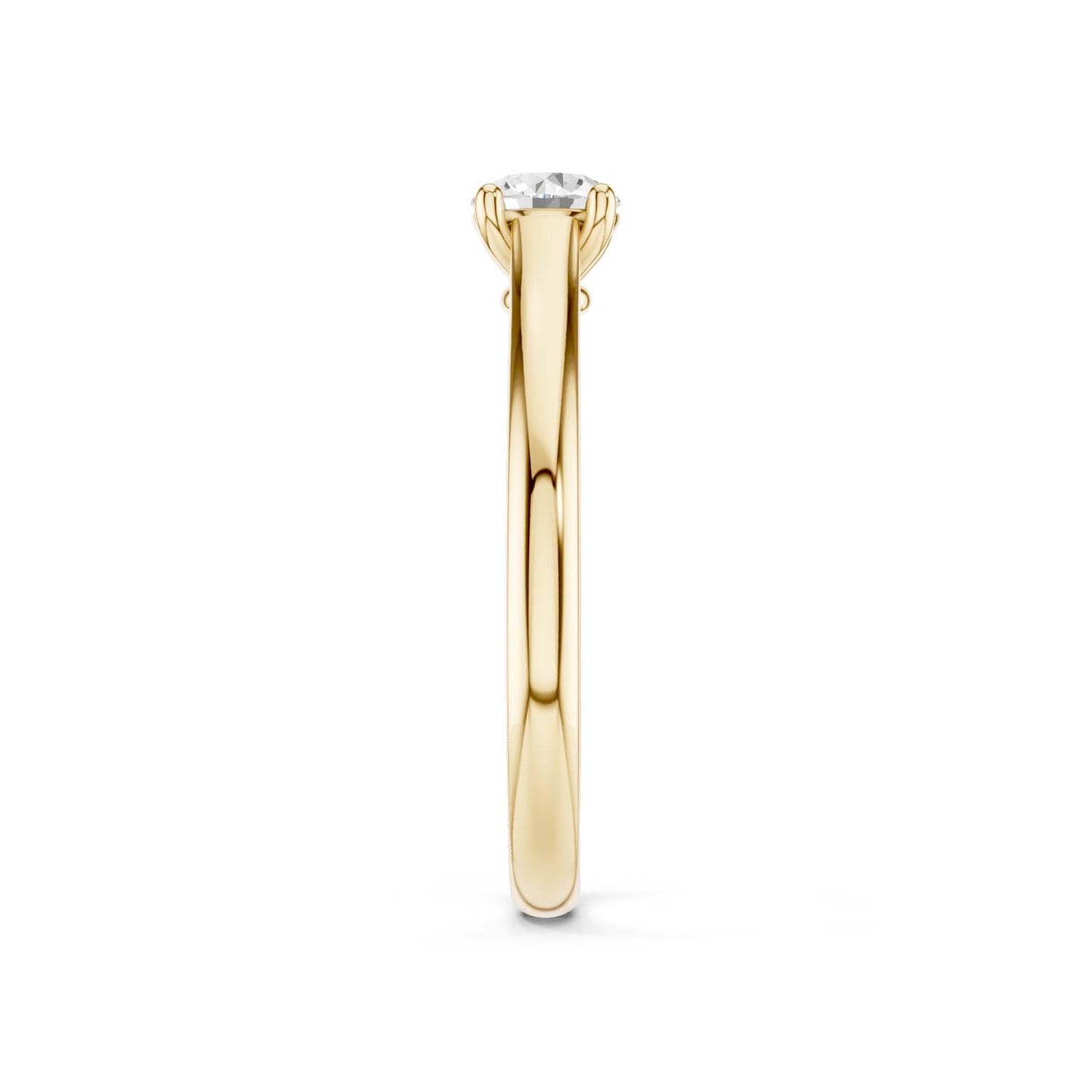 Iconic Round Ring