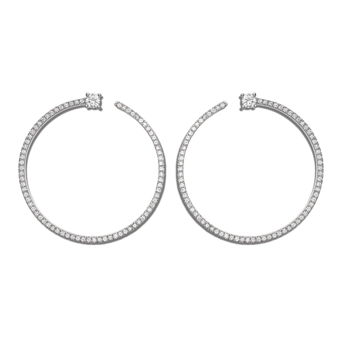 Shimmering Bardot Hoops